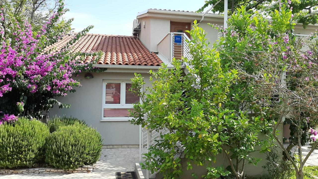 Haus Mirela *