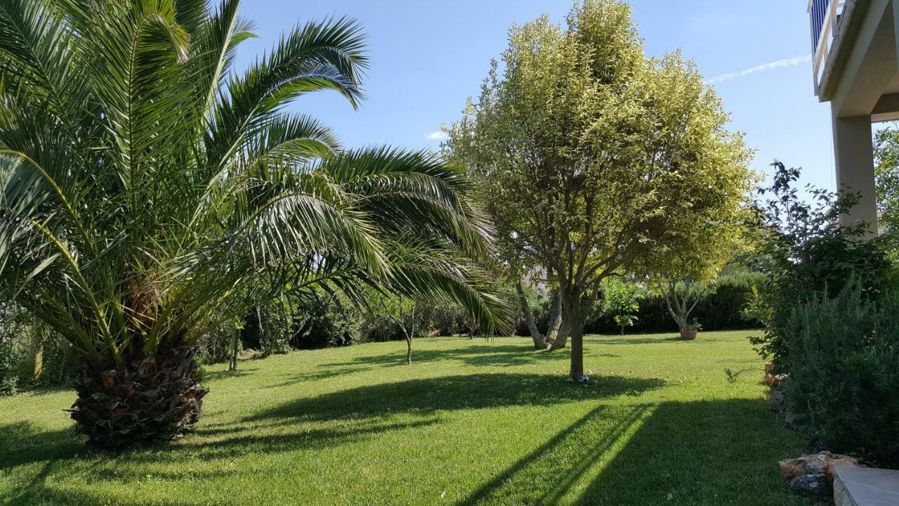 Haus Mirela Apartment *